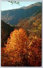 Postcard Fall Color Scene In The Great Smoky Mountains, Mid-October, Unposted