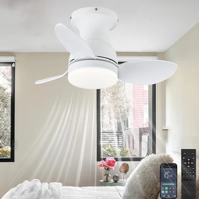 EONTYNE Ceiling Fans with Lights and Remote,58 cm Modern Smart Ceiling Fan Lamp - Image 1 of 4