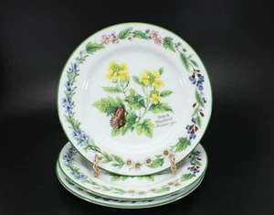 Royal Worcester Kräuter BROTTELLER Set 3 Botanische Blumen Porzellan grüner Rand - Bild 1 von 10
