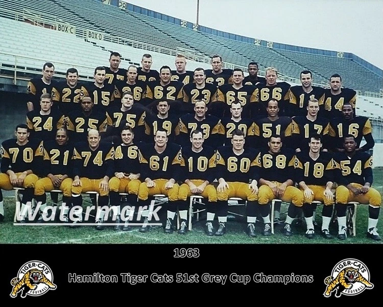 CFL 1963 Hamilton Tiger Cats Grey Cup Champion Color Team Picture 8 X 10 Photo  - Image 1 of 1