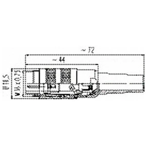 Binder 99-2005-02-03 Male Cable Mount Miniature 3 Pin DIN with 6-8mm Outlet - Picture 1 of 1
