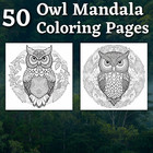 50 Eulen Mandala Malbilder zum ausdrucken & POD Erlaubnis
