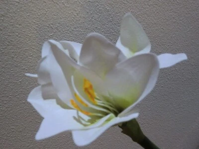 Amaryllis mit 2 Blüten und 1 Knospe, künstlich, Weiß, Kunstblumen, Winterdeko - Bild 1 von 4