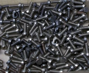 TRIANG S1023 (QTY 6 x LONG, 4 x SHORT) BODY SCREWS - FLYING SCOTSMAN - Picture 1 of 1