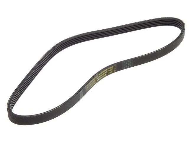 Cinturón multi costilla aire acondicionado ContiTech 16JC94K se adapta a BMW 320i 2001-2002 Foto 1 de 1