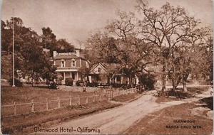 Lithograph Glenwood California Street View Glenwood Hotel early 1900s - Picture 1 of 2