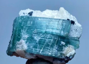 Bellissimo esemplare di cristallo di tormalina naturale dall'Afghanistan 120 carati - Foto 1 di 14