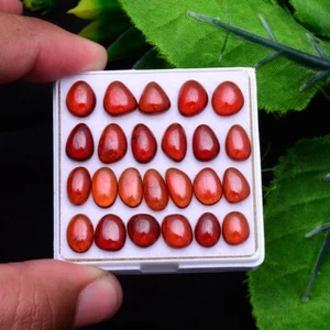 24 Pcs Natural Hessonite Garnet 8.40mm-10.82mm Cabochon Untreated Gemstones Lot - Picture 1 of 9