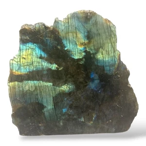 Labradorite Polished Freestanding Specimen Madagascar 1lb 7.5 oz - Bild 1 von 6