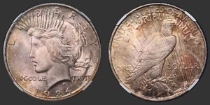 1924 Peace Silver Dollar $1 NGC MS64 Nice Toning - Picture 1 of 3