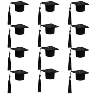 12pcs Mini Graduation Cap for Crafts Black Felt Graduation Hat Graduation Bot... - Picture 1 of 7