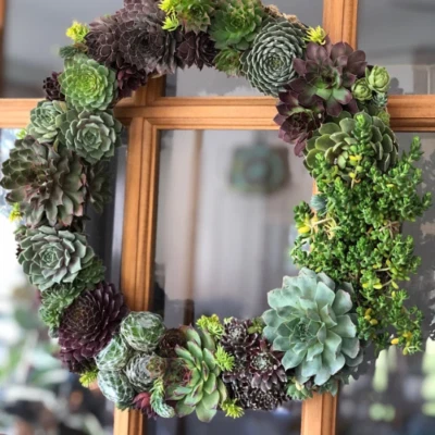 Door Wreath Table Centerpiece Housewarming Gift with Live Succulents Plants 16" - Image 1 of 4