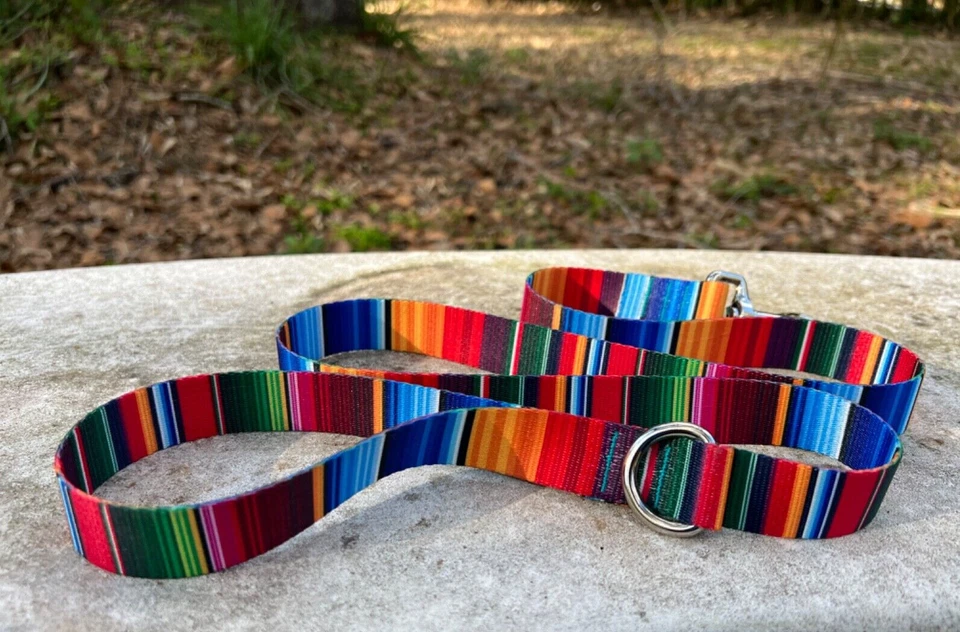 Correa para perro a rayas audaces - correa para perro de 4 pies, correa para perro de 6 pies, correa para perro de 8 pies Foto 1 de 4