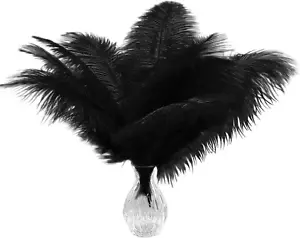 Piokio 20pcs Natural Black Ostrich Feathers, Genuine Natural Fluffy Party Craft - Picture 1 of 12