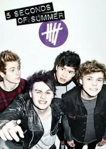 5 Seconds Of Summer : Don't Stop - Giant Poster 100cm x 140cm new and sealed - Picture 1 of 1