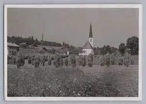 Hammer bei Siegsdorf LK Traunstein - Kirche Landwirtschaft - Altes Foto 1950er - Bild 1 von 2