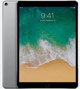 Apple iPad Pro | A1709 | 10.5" | 256GB | Wifi + Cellular | Unlocked | Space Gray - Picture 1 of 2