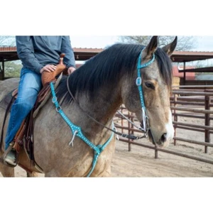 Schulz Equine Turquoise Leather Headstall and Breast Collar Tack Set 71861 - Picture 1 of 4