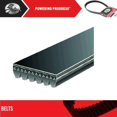 Serpentine Belt Gates For 1982 FORD MUSTANG V8-4.2L - Image 1 of 4