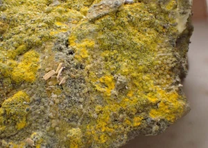 9935 Greenockite Hawleyite ca 7x5x2 cm Daoping China 2024 - Picture 1 of 3