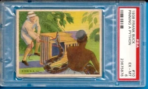 1938 Frank Buck #10 Python Psa 6  (Pop 2 - 0 Higher) - Picture 1 of 2