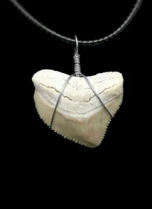 SQUALICORAX TOOTH REAL SHARK NECKLACE FOSSIL PENDANT JEWELRY PREHISTORIC EXTINCT - Picture 1 of 7