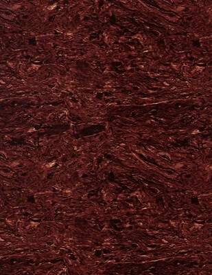 Golpeador acústico material en blanco tortuga hendido 9,3 x 11,3 130515STO Foto 1 de 2