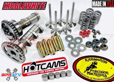 01-13 Yamaha YZ250F YZ 250F ступень 2 горячие кулачки KIBBLEWHITE клапаны направляющая пружина набор - Изображение 1 из 4