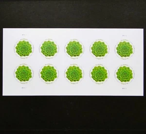 Estampillas de Estados Unidos 2017 MNH Global Forever Green hoja suculenta de 10 Estados Unidos - Imagen 1 de 7
