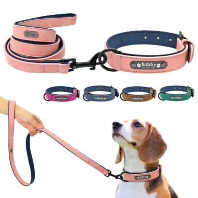 Soft Padded Personalised Dog Collar and Lead Custom Dog ID Tag Pet Walking Leash - image 1 of 4
