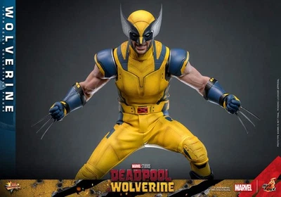 HOT TOYS Marvel Deadpool & Wolverine 2024 Wolverine MMS753 ⅙ Sixth Scale Figure