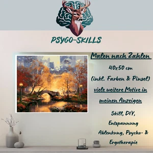 Malen nach Zahlen 40x50cm inkl Zubehör und Versand paint by numbers Malen Bilder - Bild 1 von 7