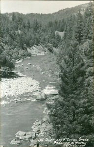 Postal de Eel River: California RPPC, cerca de Henry Devoy Grove / Redwood Highway CA - Imagen 1 de 2