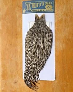 Wittling "High & Dry" - Hackle Cape - Grizzly - größere Federn - BRANDNEU - Bild 1 von 3