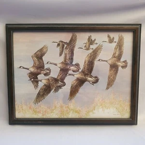 Stampa incorniciata firmata Doug Lindstrand AUTUNNO VOLO 12x16 anni '80 anatra schizzo Alaskan - Foto 1 di 9