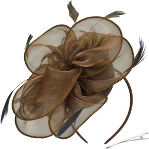 DRESHOW Fascinators Hat Tea Party Headwear Ribbons Feathers on a 8.2" / Brown - Picture 1 of 7