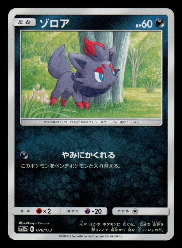NM - Pokemon Japanese Zorua 078/173 Tag Team GX All Stars sm12a - Image 1 of 2