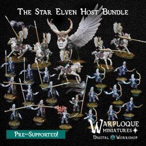 The Star Elven Host (x24)/Dungeons and Dragons/Wargaming/RPG/Warp Miniatures - Picture 1 of 11