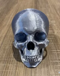 3D Printed Silk Silver Human Skull - Picture 1 of 6