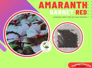 Amaranth Red 300 Seeds Red Spinach লালশাক বীজ - Bild 1 von 8