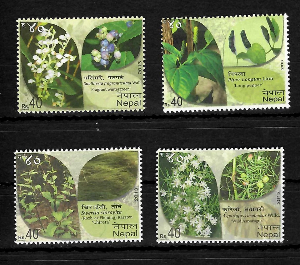 Nepal: Plantas 2013, #1117-1120 MNH. Foto 1 de 1