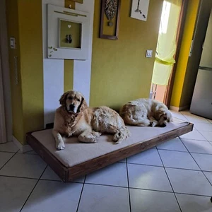 Cuscino letto per cane/gatto su misura personalizzato - Picture 1 of 2