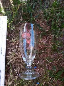 BIERRA BIRRA BIER BEER 33 EXPORT STEM GLASS A LITTLE WORN @ HALF PINT - Picture 1 of 2