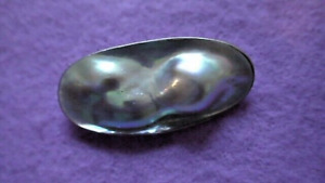 Vintage 925 Sterling Iridescent Mabe Blister Pearl Brooch - 1 3/4" Length