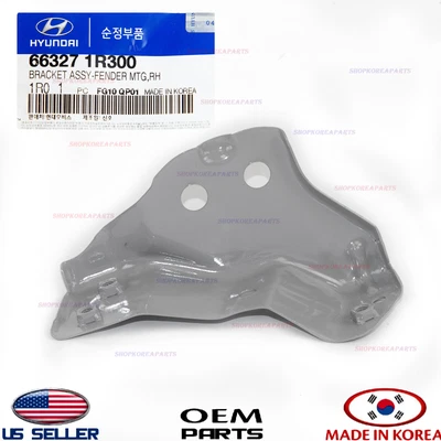 Soporte guardabarros delantero derecho genuino ⭐OEM⭐ HYUNDAI ACCENT 2012-2017 663271R300 Foto 1 de 4