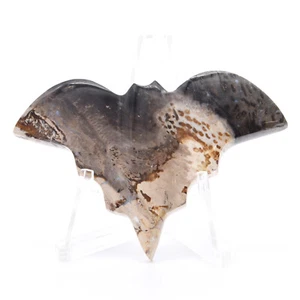67mm Crystal Gemstone Fossilised Palm Root Bat Healing Mineral Natural - Bild 1 von 3