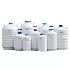 CryoKING® 3L Liquid Nitrogen Tank, Liquid Nitrogen Dewar Cryogenic Container - Picture 1 of 6
