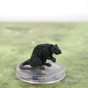 Wild Shape Polymorph ~ RAT #3 Icons Realms D&D Spell Effects miniature giant - Picture 1 of 3
