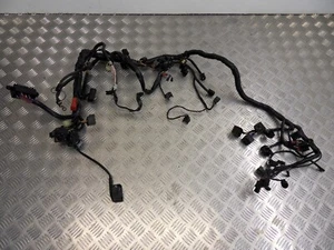 Arnés de telar de cableado principal Triumph Sprint ST 955i 1999 a 2005 - Imagen 1 de 8