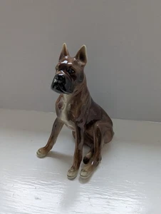 Vintage Boxer Dog Royal Belvedere Porcelain Figurine, Vienna Austria - Picture 1 of 6